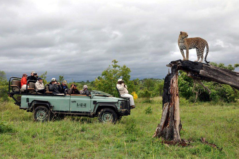 Idube Safari Lodge Images 6 1