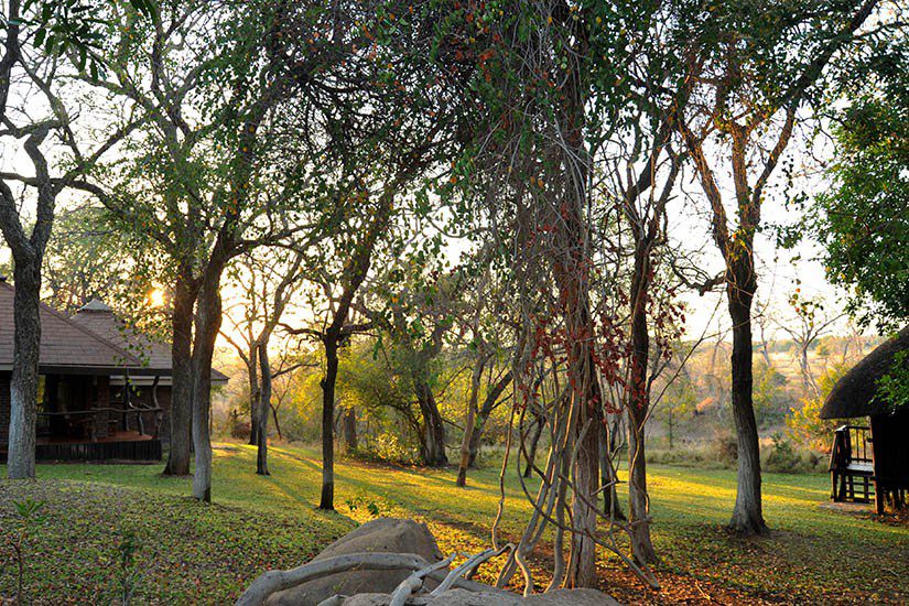 Idube Safari Lodge Images 7 1