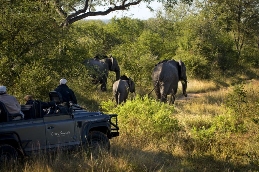 Luxury African Safari Special Offers (January–June 2026) 14 Photo Gallery Lion Sands2 1