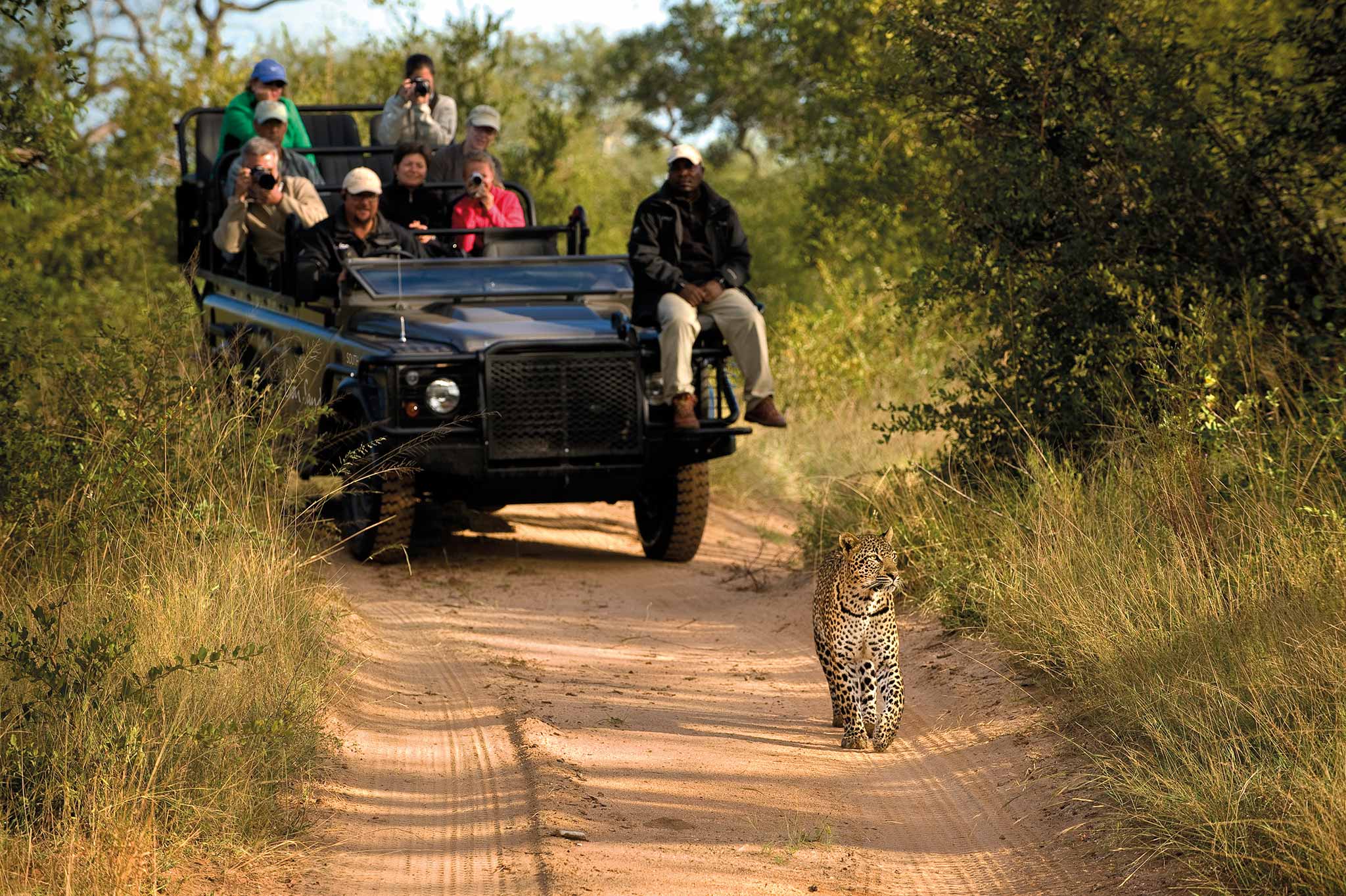 Luxury African Safari Special Offers (January–June 2026) 12 River Lodge Lion Sands Images 3