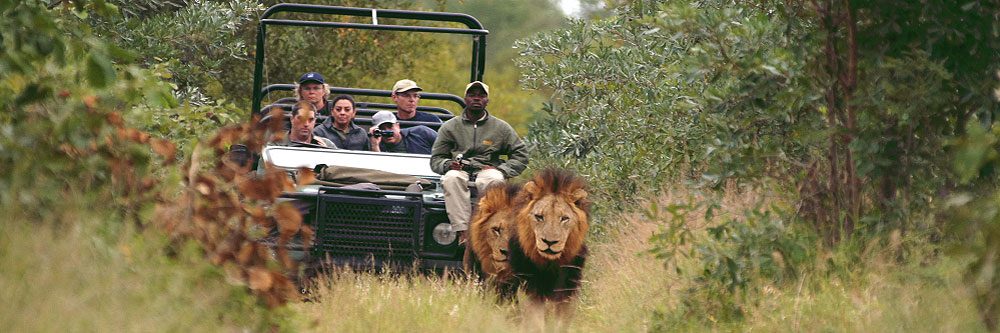 idube game drive