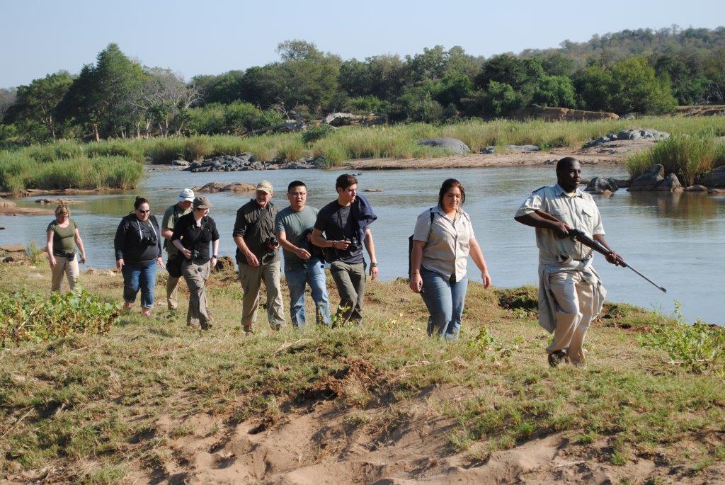 Kruger National Park Lodges: Luxury vs Budget Options 10 3 day kruger safari tremisana bush walk