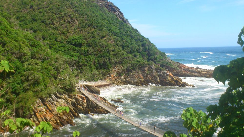 17 Day African Luxury Safari - The Essence of Southern Africa Travel 69 Classic Garden Route 1