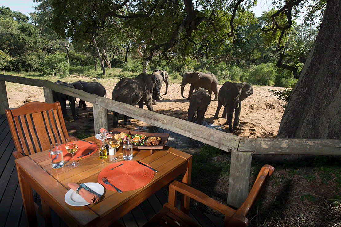 Tintswalo Safari Lodge images 27