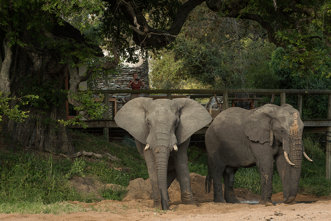Tintswalo Safari Lodge images 28