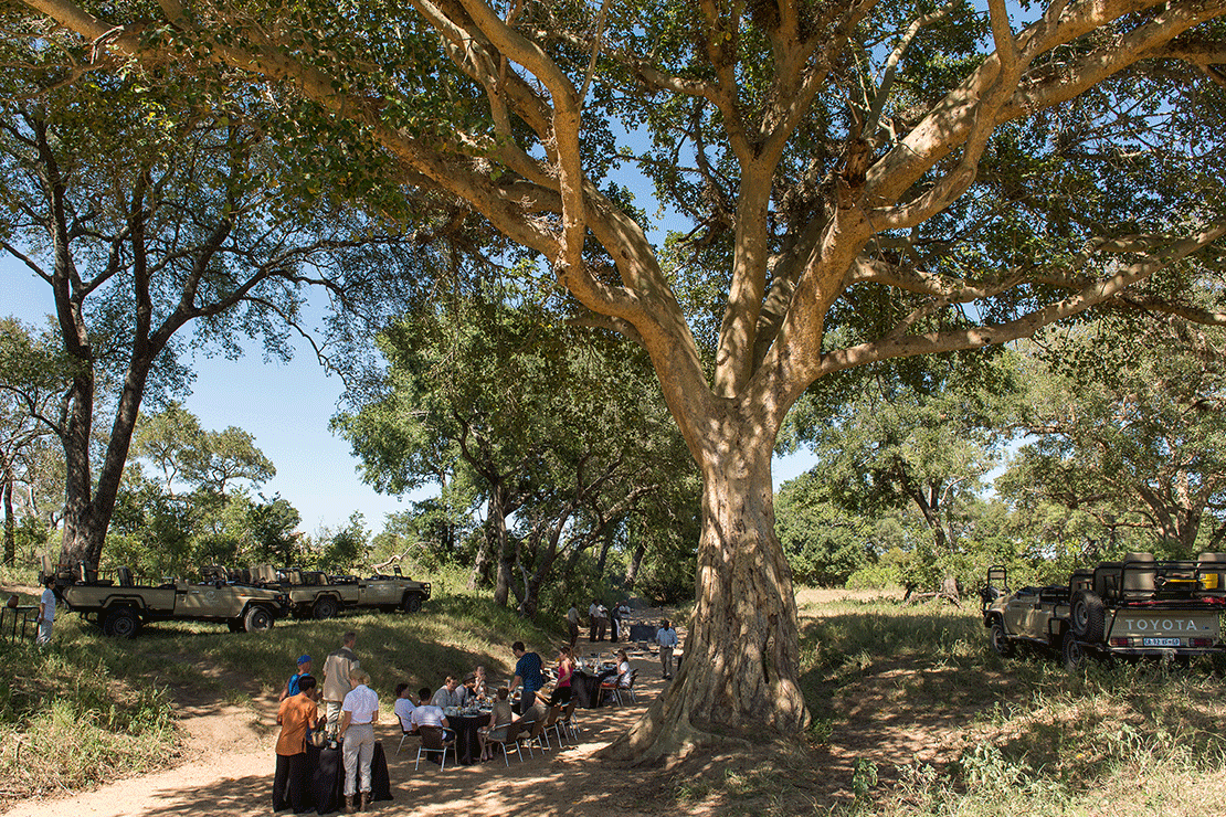 Tintswalo Safari Lodge images 6