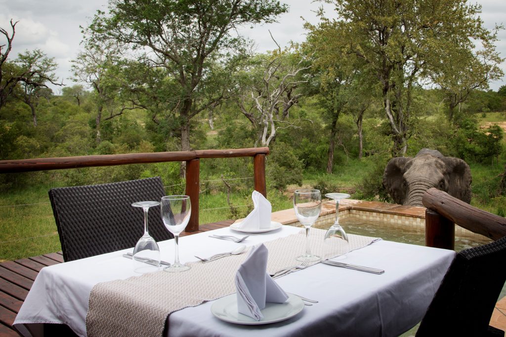 idube safari lodge sabi sands new 1