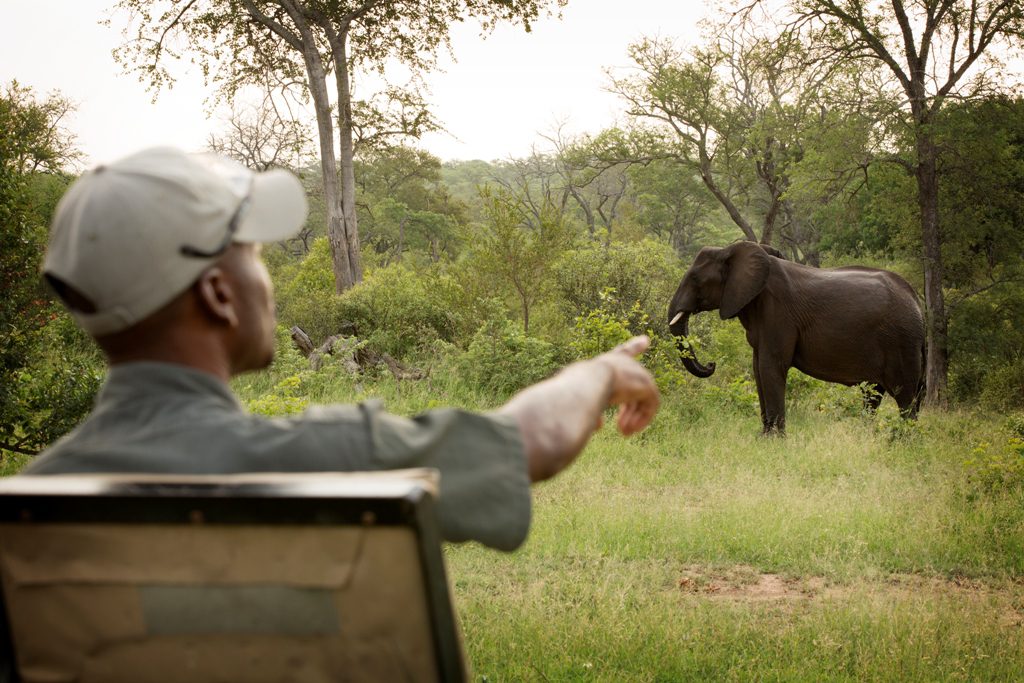 idube safari lodge sabi sands new 4