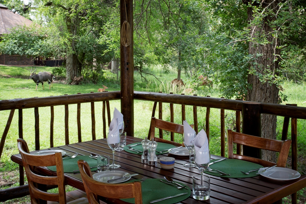 idube safari lodge sabi sands new 9
