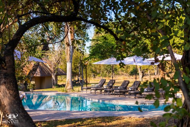 Inyati Game Lodge - Sabi Sands Game Reserve - Kruger National Park 43 inyati game lodge sabi sands 12