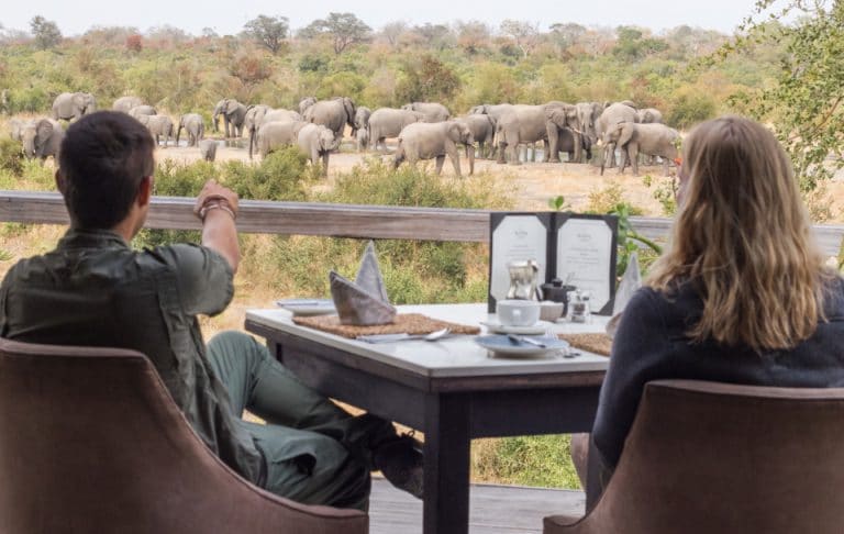 Simbambili Safari Lodge Sabi Sands Game Reserve 10