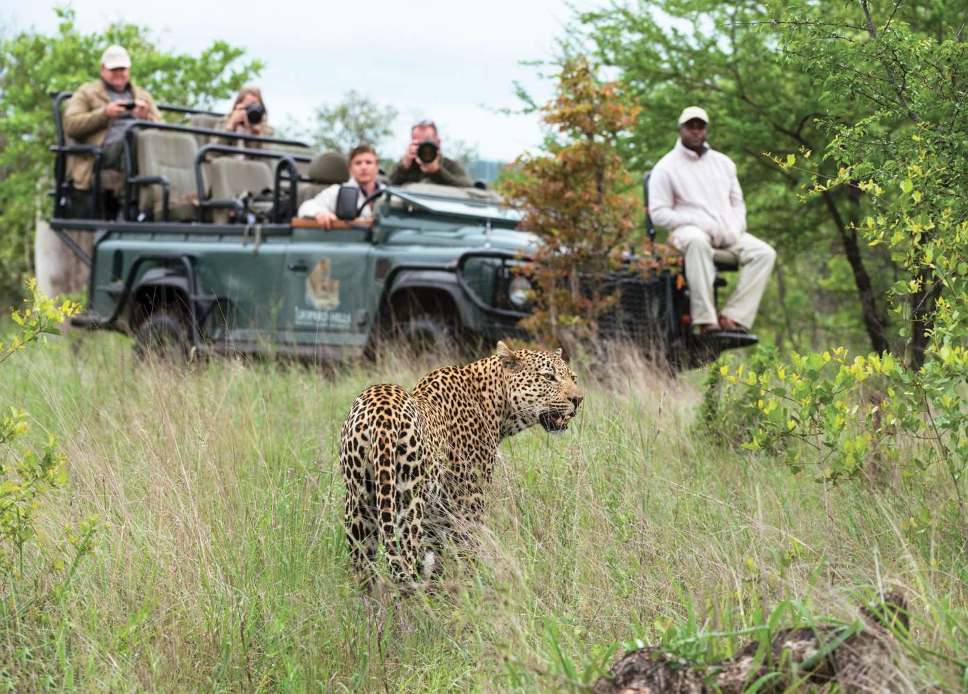 leopard hills lodge images sabi sands lodges reservations 3