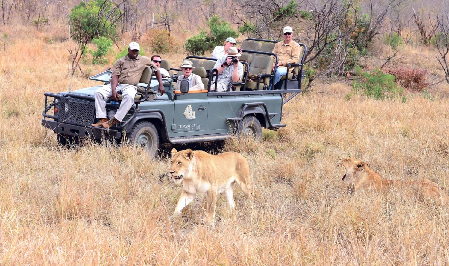 leopard hills lodge images sabi sands lodges reservations 4