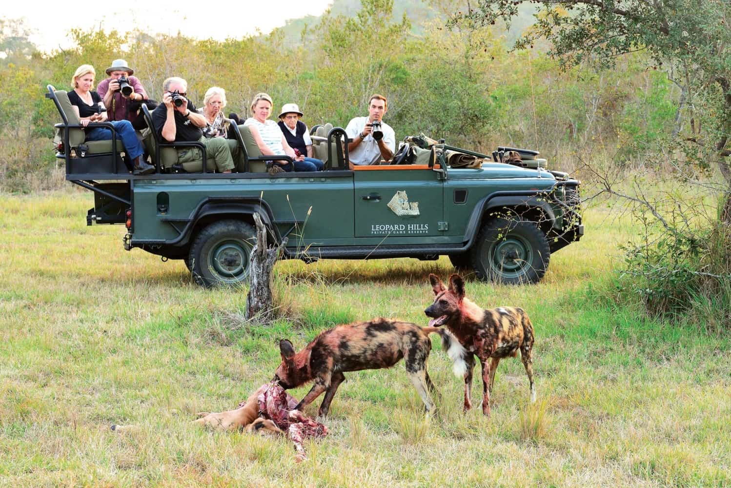 leopard hills lodge images sabi sands lodges reservations 5
