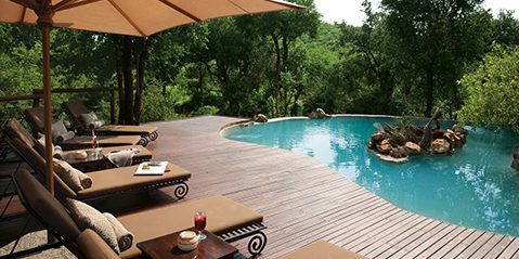 9 Day Self Drive Cape Town, Garden Route & Malaria Free Safari - South Africa 134 impodimo madikwe images safari lodge 4