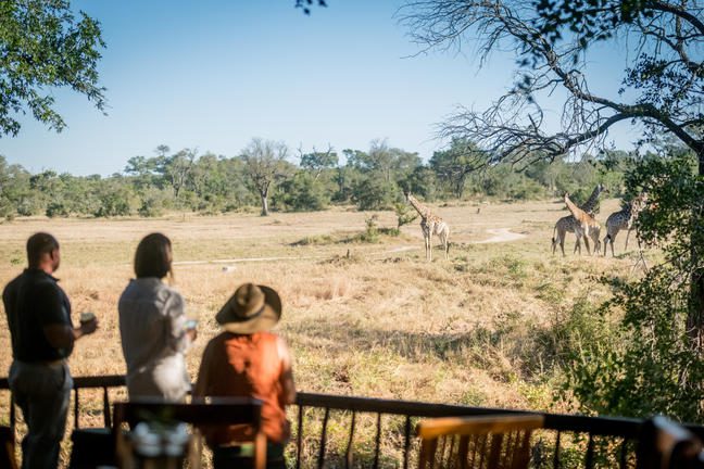 12 Day Cape Town, Sabi Sands Safari & Victoria Falls Tour - Sabi Sands Lodges Reservation 109 umkumbe bush lodge sabi sands images 77