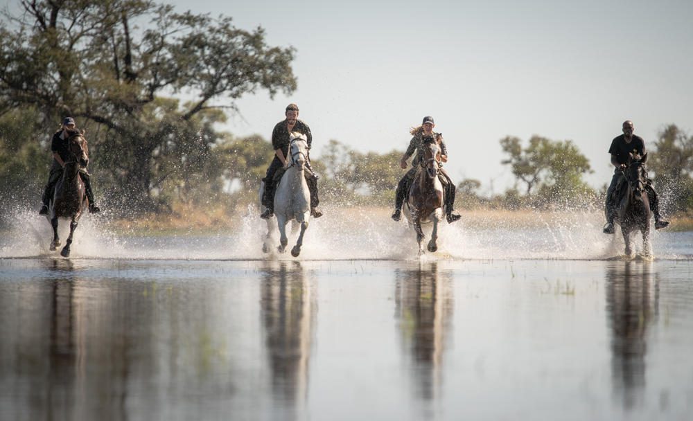 17 Day African Luxury Safari - The Essence of Southern Africa Travel 211 eagle island lodge okavango delta botswana 35