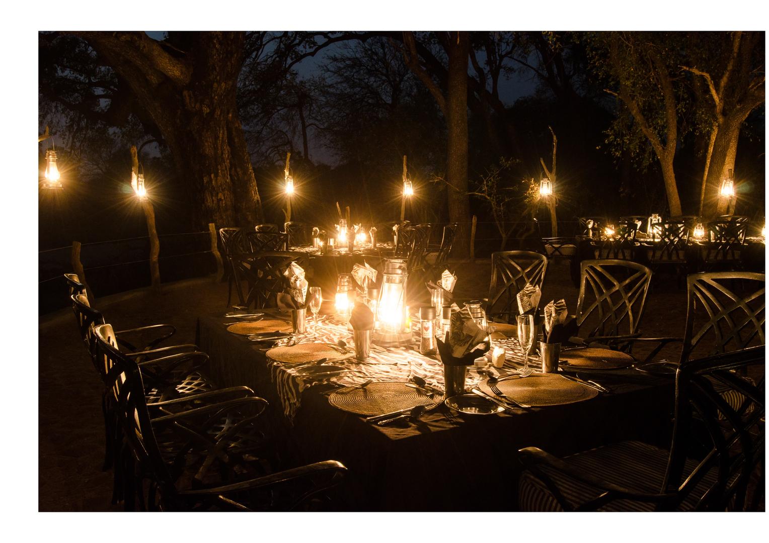 Tour Operator vs Booking Yourself 9 kings camp timbavati kruger national park 65