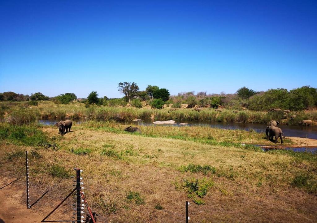 5 Day Kruger Park & Sabi Sands Safari Combination - Sabi Sands Game Reserve 14 sabie river bush lodge kruger national park 10