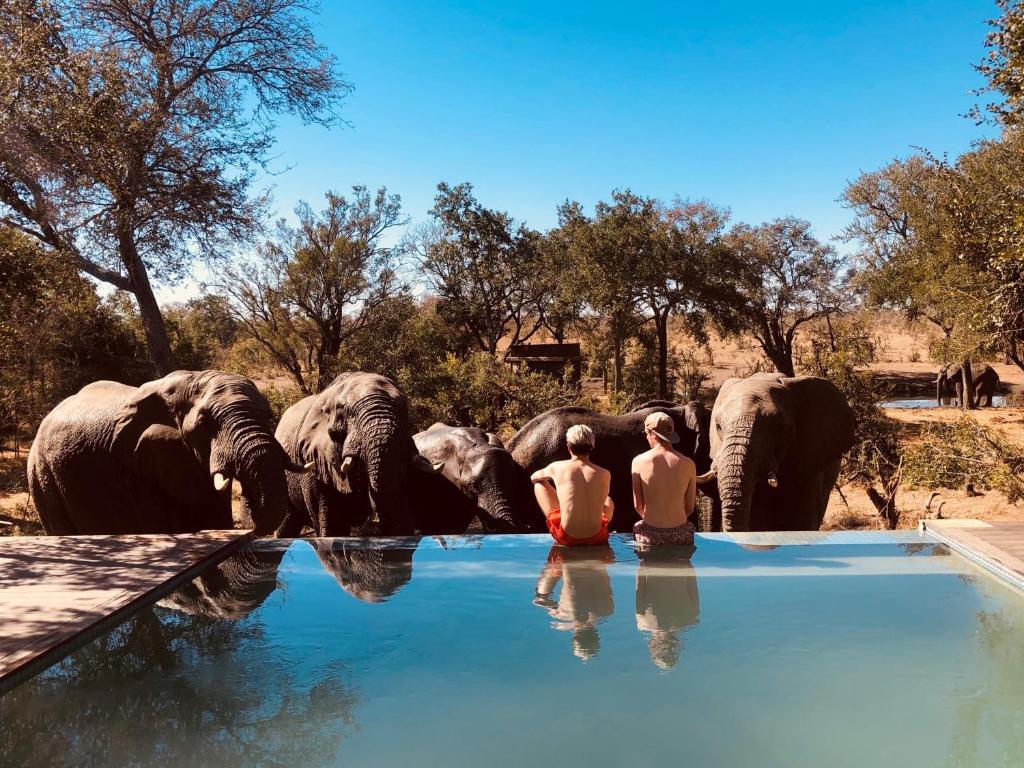 5 Day Kruger Park & Sabi Sands Safari Combination - Sabi Sands Game Reserve 11 sabie river bush lodge kruger national park 45