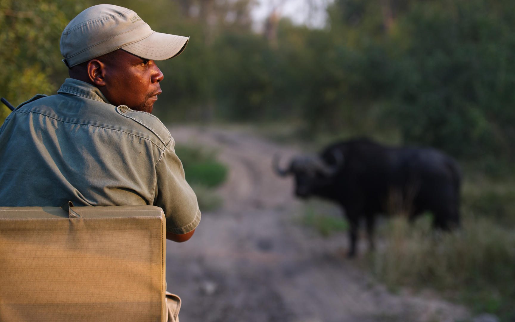 simbambili sabi sands safari lodges reservations 3