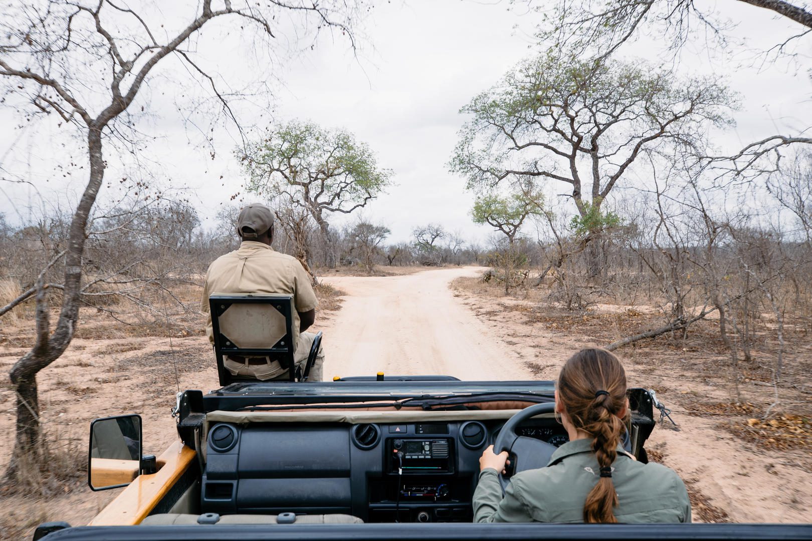 simbambili sabi sands safari lodges reservations 67