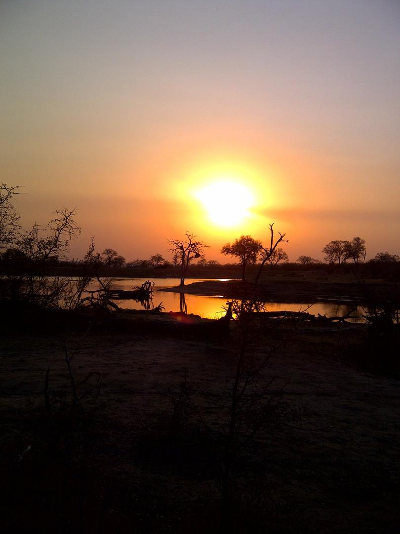2026 Sabi Sands Special Offers - Sabi Sands Lodges Reservations 13 simbambili sabi sands safari lodges reservations 84