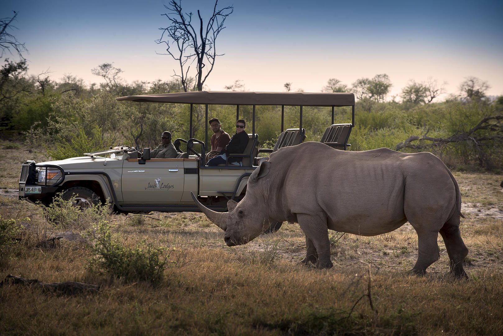 Jaci's Sabi House - Sabi Sands Game Reserve - Reservations 68 Jacis Tree Lodge Madikwe Reserve Sabi Sands Game Reserve 1