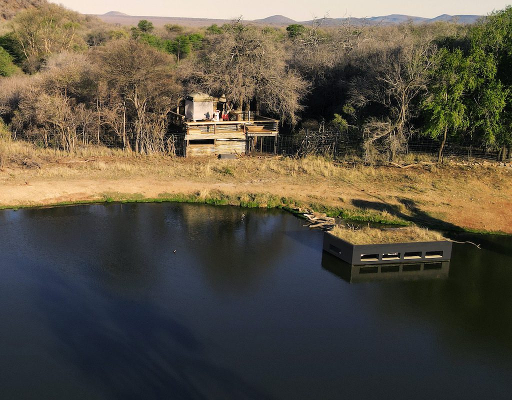 Jaci's Tree Lodge - Madikwe Game Reserve - Malaria Free Safari - South Africa 16 Jacis Tree Lodge Madikwe Reserve Sabi Sands Game Reserve 18