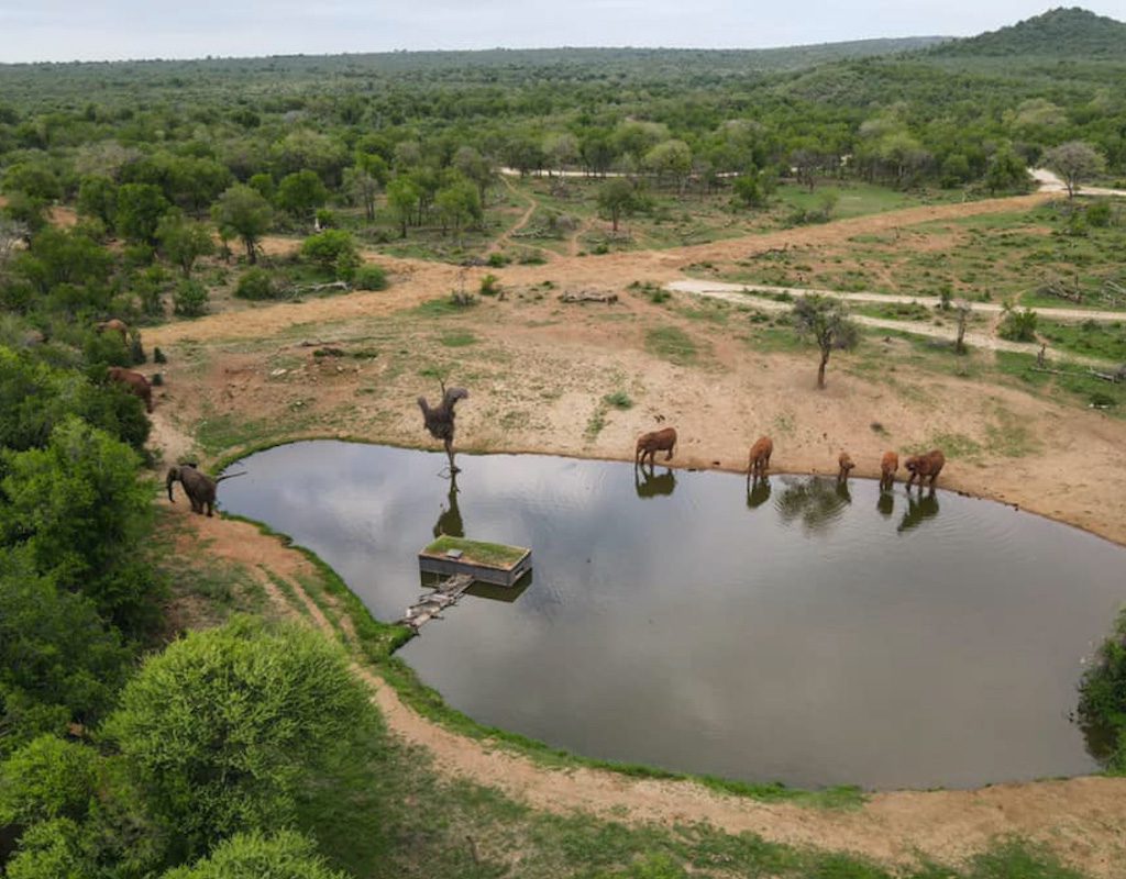 Jaci's Tree Lodge - Madikwe Game Reserve - Malaria Free Safari - South Africa 17 Jacis Tree Lodge Madikwe Reserve Sabi Sands Game Reserve 19