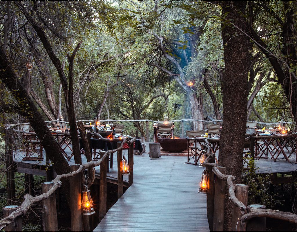 Jaci's Tree Lodge - Madikwe Game Reserve - Malaria Free Safari - South Africa 20 Jacis Tree Lodge Madikwe Reserve Sabi Sands Game Reserve 36