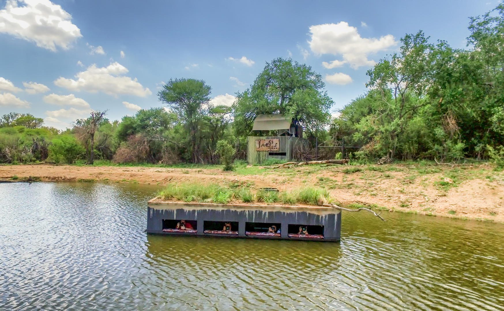 Jaci's Tree Lodge - Madikwe Game Reserve - Malaria Free Safari - South Africa 5 Jacis Tree Lodge Madikwe Reserve Sabi Sands Game Reserve 43