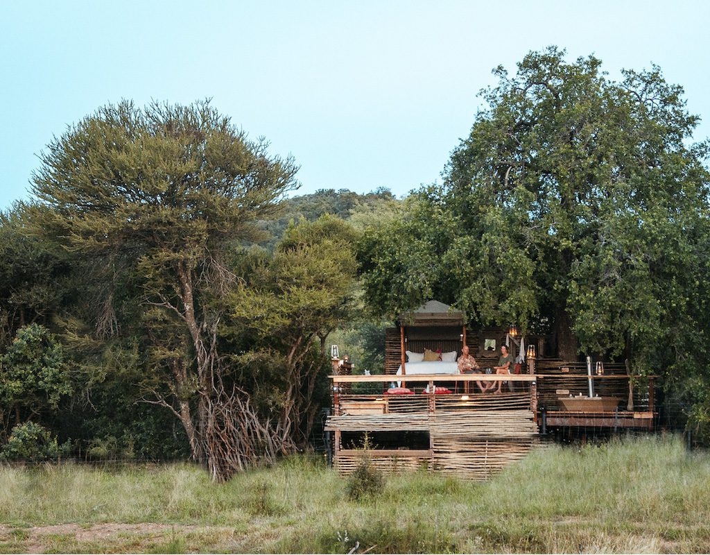 Jaci's Tree Lodge - Madikwe Game Reserve - Malaria Free Safari - South Africa 9 Jacis Tree Lodge Madikwe Reserve Sabi Sands Game Reserve 8