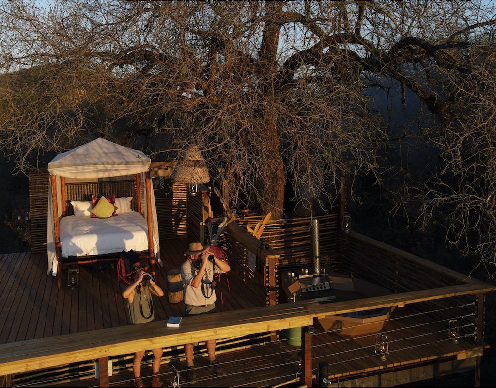 Jaci's Tree Lodge - Madikwe Game Reserve - Malaria Free Safari - South Africa 10 Jacis Tree Lodge Madikwe Reserve Sabi Sands Game Reserve 9