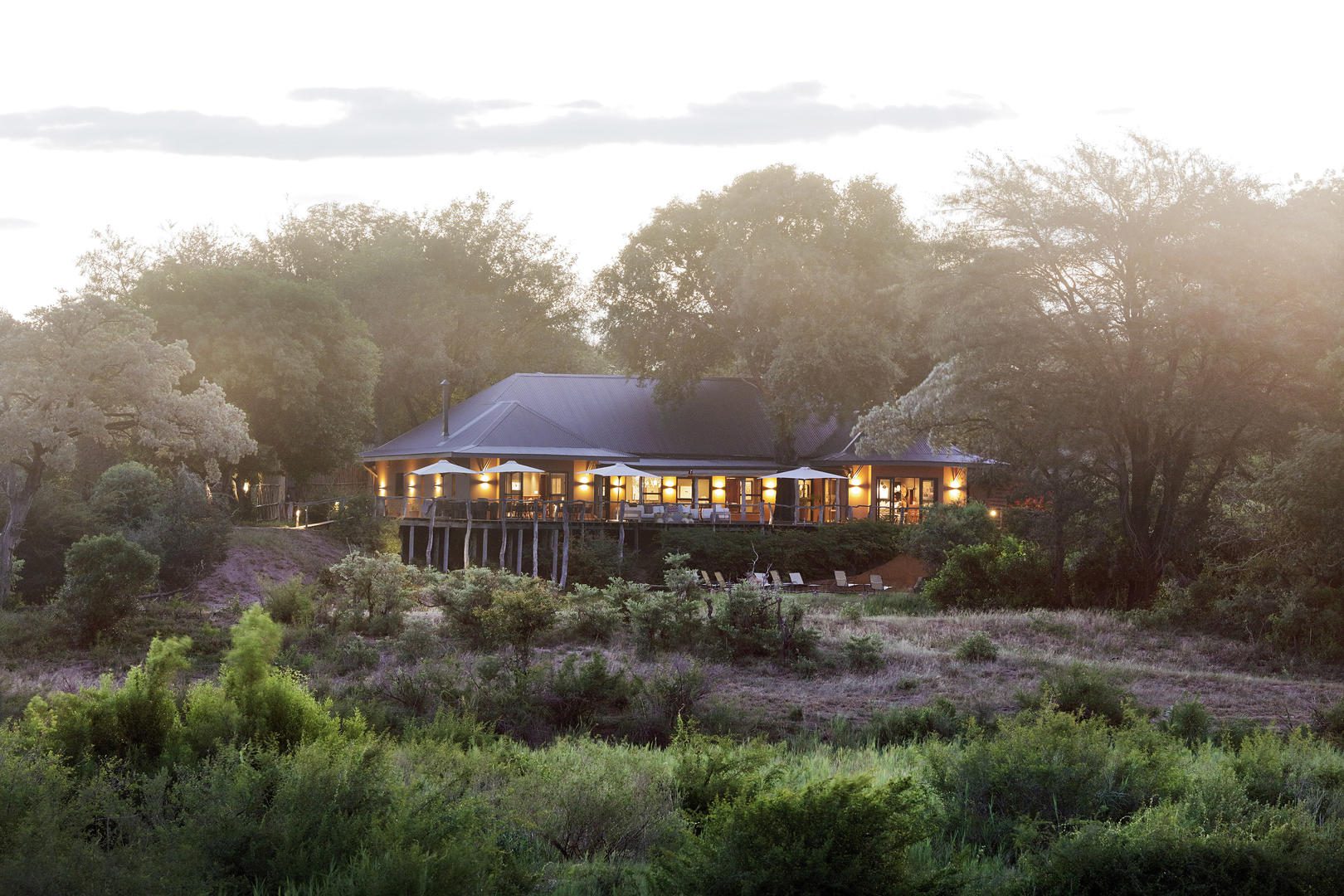malamala camp images sabi sands lodges 21