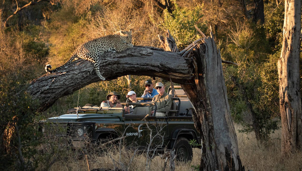 Khensani River Lodge - Tengile MalaMala Collection 15 malamala rattry lodge 12