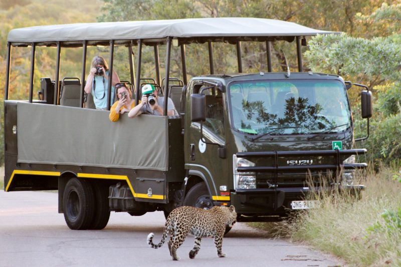 12 Day Cape Town, Sabi Sands Safari & Victoria Falls Tour - Sabi Sands Lodges Reservation 110 sunset drive kruger