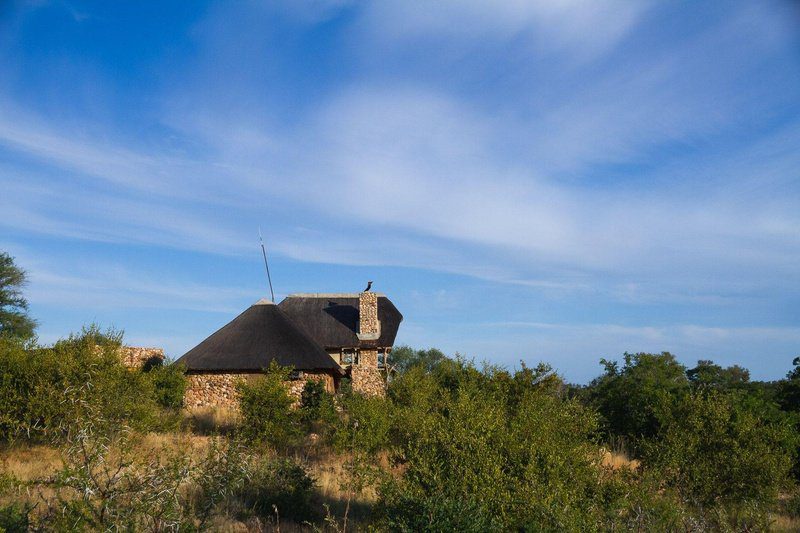 Pauls Hideaway Motswari Hideaways Kruger 12