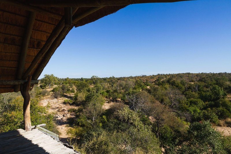 Pauls Hideaway Motswari Hideaways Kruger 15