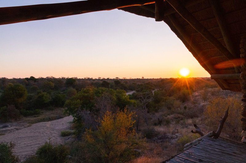 Pauls Hideaway Motswari Hideaways Kruger 20