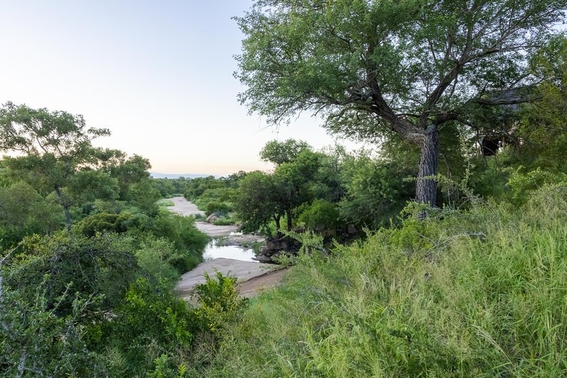 Pauls Hideaway Motswari Hideaways Kruger 24