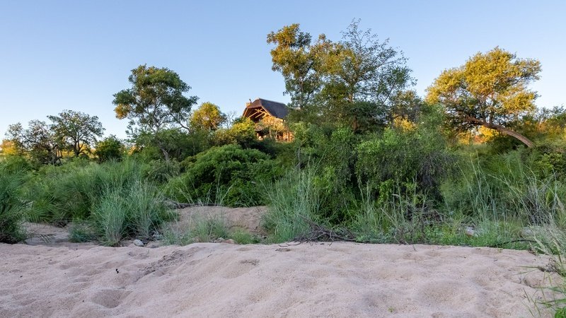 Pauls Hideaway Motswari Hideaways Kruger 8