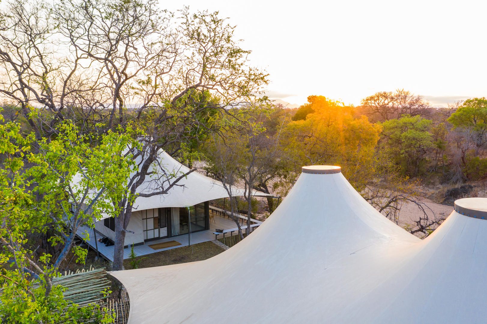 Saseka Tented Camp - Thornybush Game Reserve - Kruger National Park 47 Saseka Tented Camp Thornybush Game Reserve Kruger 12