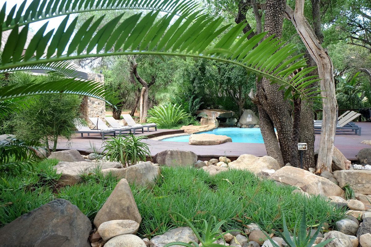Amakhosi Safari Lodge - Pongola - Kwa-Zulu Natal - South Africa 50 Amakhosi Safari Lodge 8