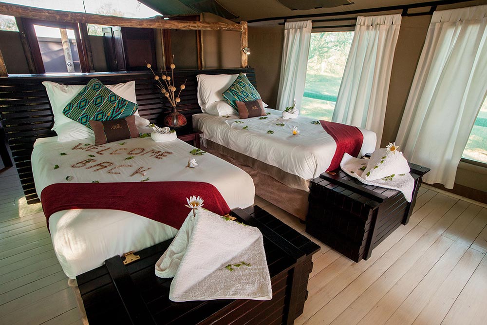 Pom Pom Safari Camp - Okavango Delta - Botswana 40 Pom Pom Safari Camp Okavango Delta Botswana 11