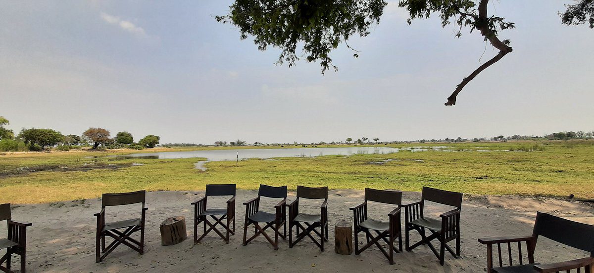 Pom Pom Safari Camp - Okavango Delta - Botswana 50 Pom Pom Safari Camp in Okavango Delta Botswana 9