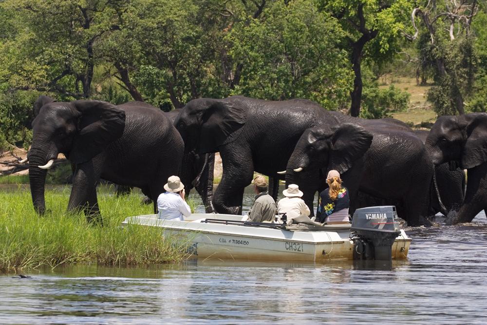 17 Day African Luxury Safari - The Essence of Southern Africa Travel 174 Chobe River Lodge Botswana 1 1