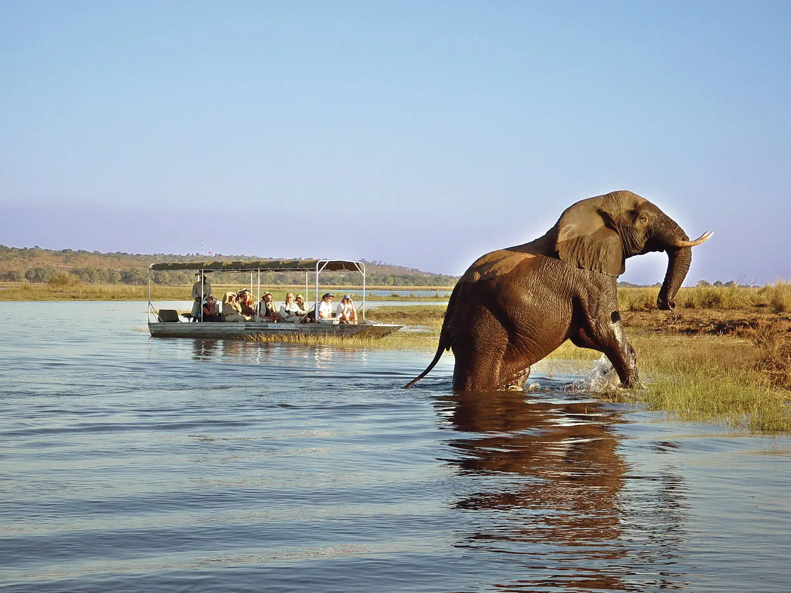 17 Day African Luxury Safari - The Essence of Southern Africa Travel 183 Chobe river national park boat safari elephant