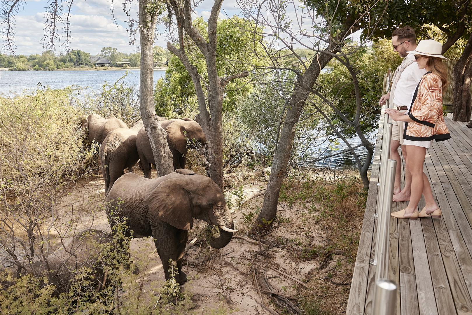 12 Days African Bush & Beach Safari - Sabi Sands Lodges Reservation 78 Victoria Falls River Lodge Zambezi National Park Zimbabwe 11