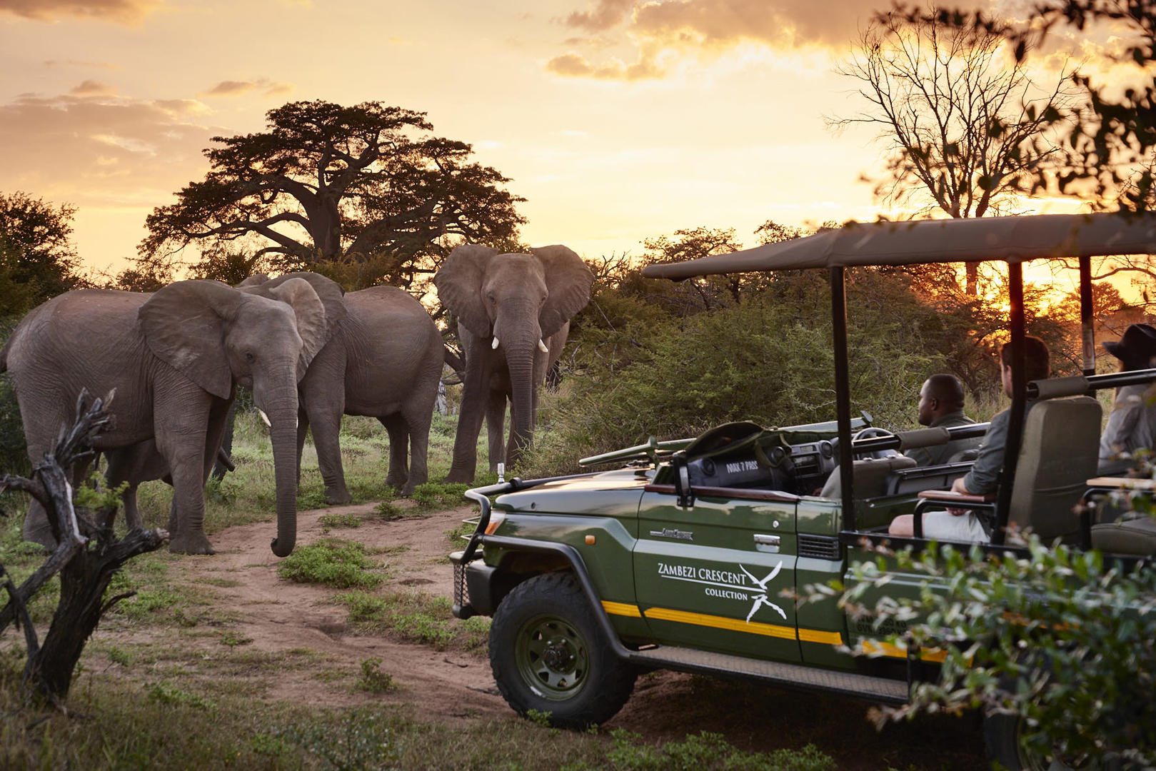 12 Days African Bush & Beach Safari - Sabi Sands Lodges Reservation 79 Victoria Falls River Lodge Zambezi National Park Zimbabwe 6